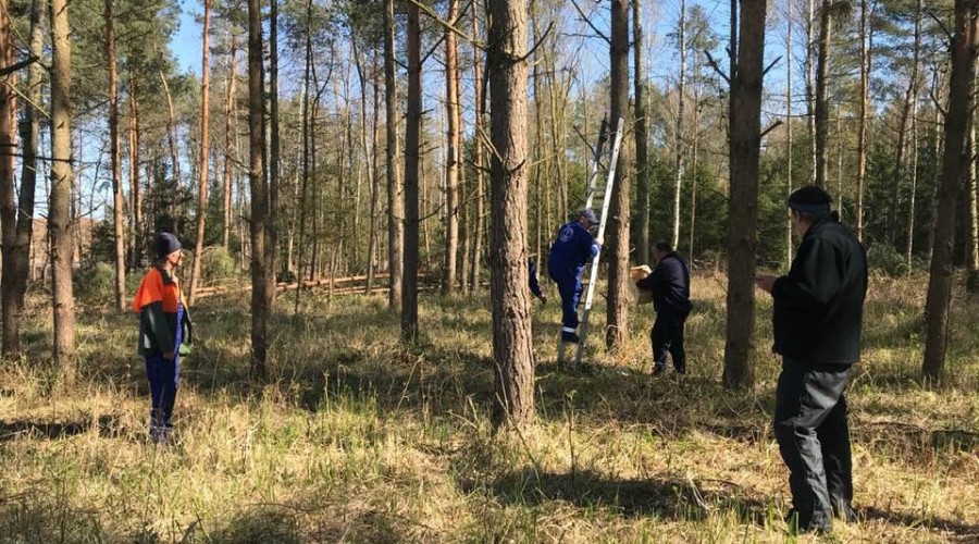 przekop budki legowe (7)