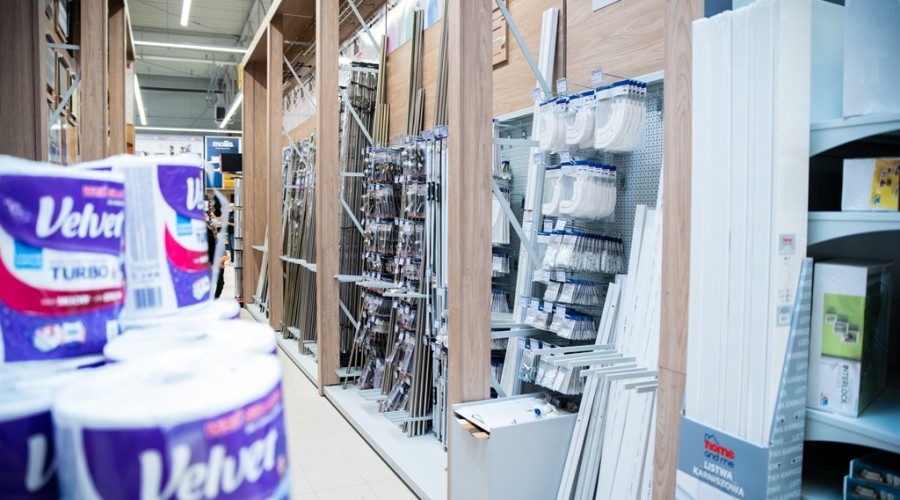 mrówka nowy dwór gdanski02