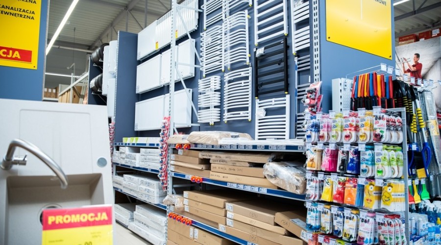 mrówka nowy dwór gdanski09