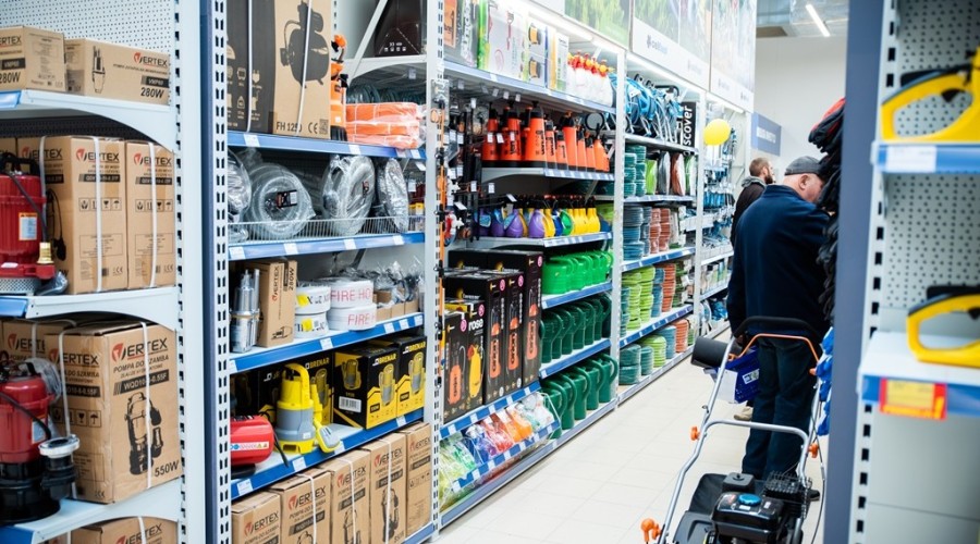 mrówka nowy dwór gdanski15