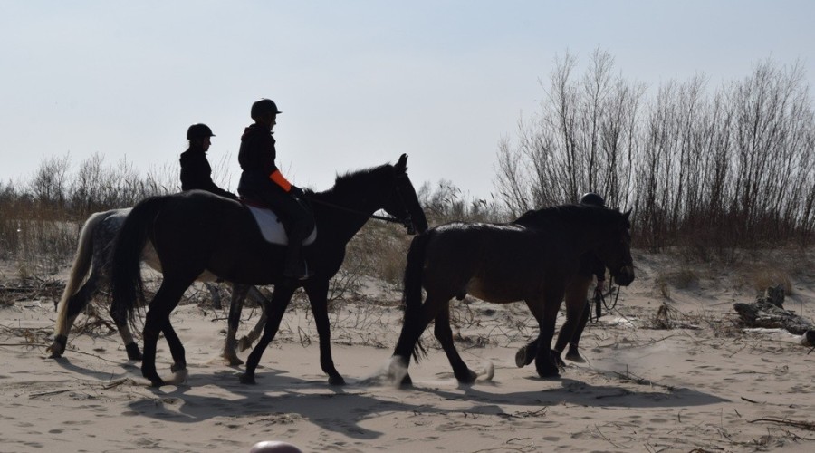 mewia łacha sprzatanie mikoszewo0136