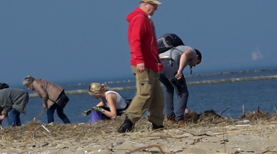 sprzatanie mewiej łachy (1)