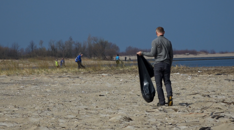 sprzatanie mewiej łachy (15)