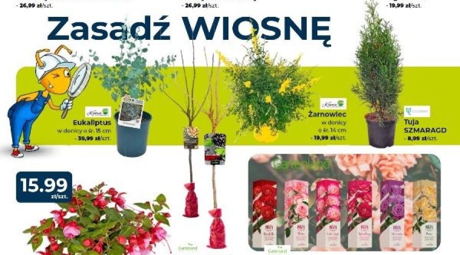 psb mrówka ndg gazetka oferta (11)