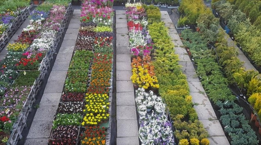 58441224_1034075896784745_4705864253112844288_n