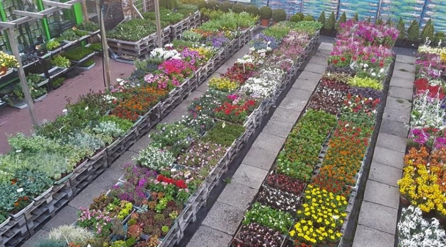 58444469_1034075576784777_8810555310964998144_n