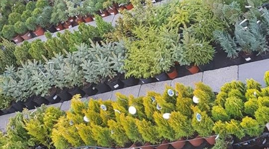 58574667_1034078286784506_8394261443976888320_n