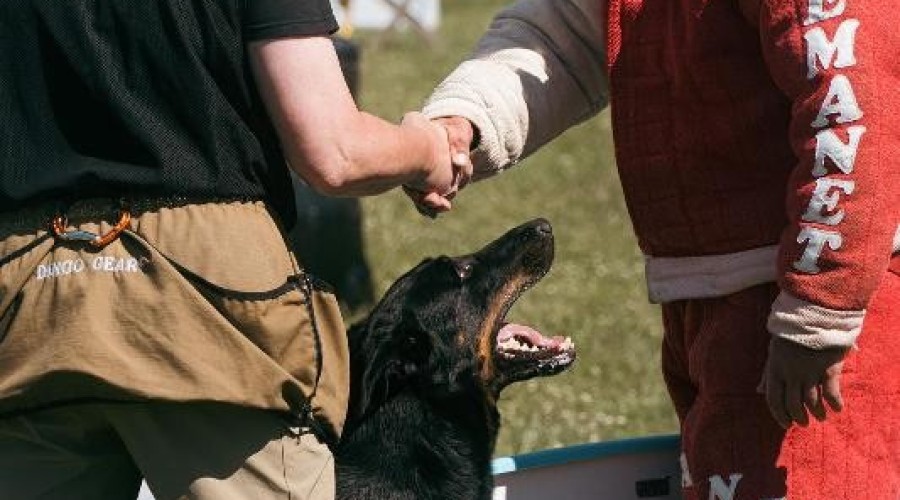 zawody monidioring sztutowo (4)