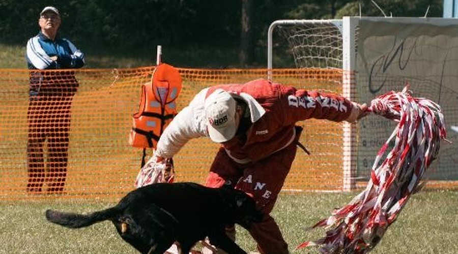 zawody monidioring sztutowo (6)