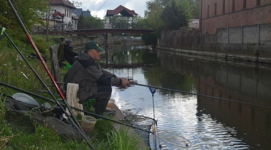 zawody wędkarski II grand prix żuław10