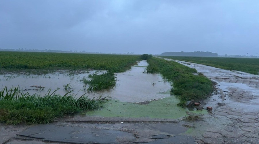 514253171_10227230891742883_8686436360971042218_n