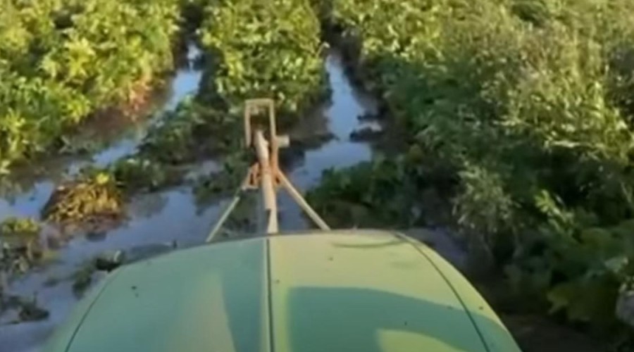 514259254_10227230843661681_638927704306455171_n