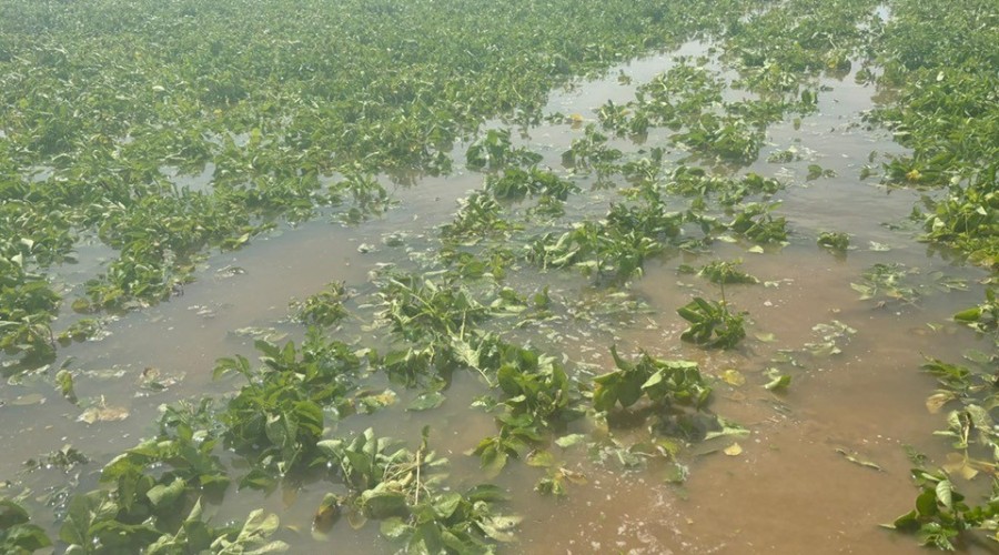 514259917_10227230890342848_6866525283075575887_n