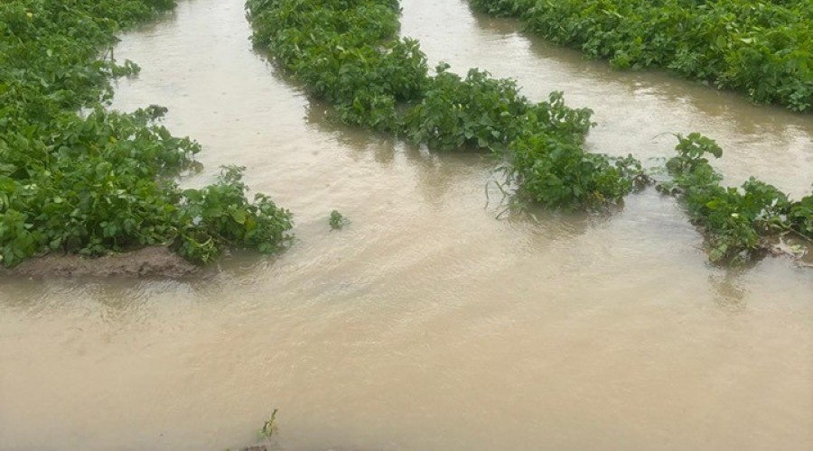 514272708_10227230891902887_8690641134501447804_n