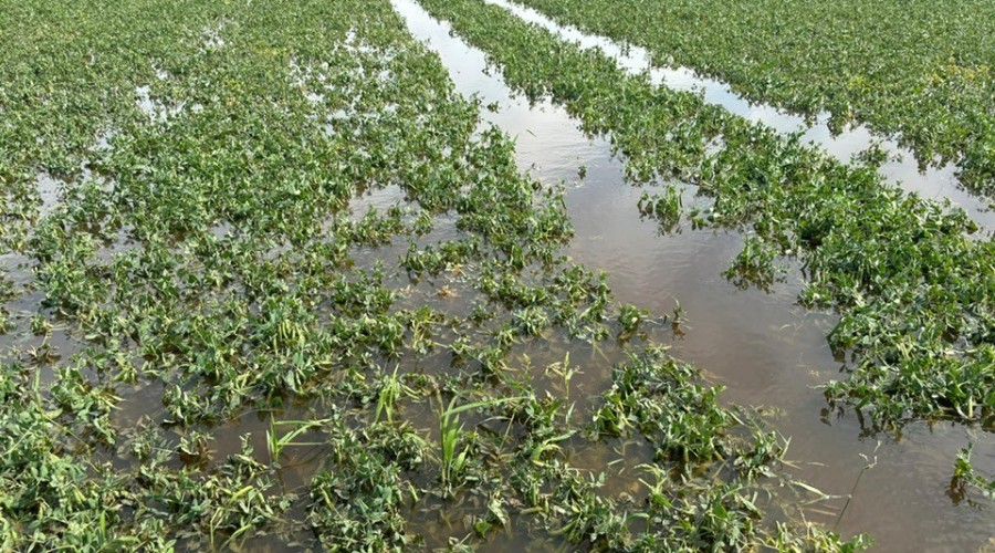 516390002_10227230890222845_3023766175344147535_n