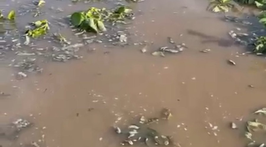 527737505_10227230908503302_8387073629063811221_n