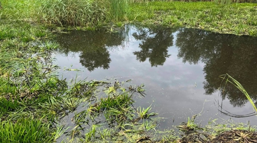 zuławy pod wodą (15)