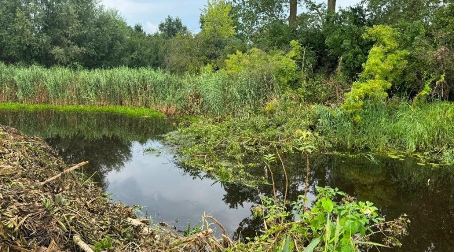 zuławy pod wodą (18)