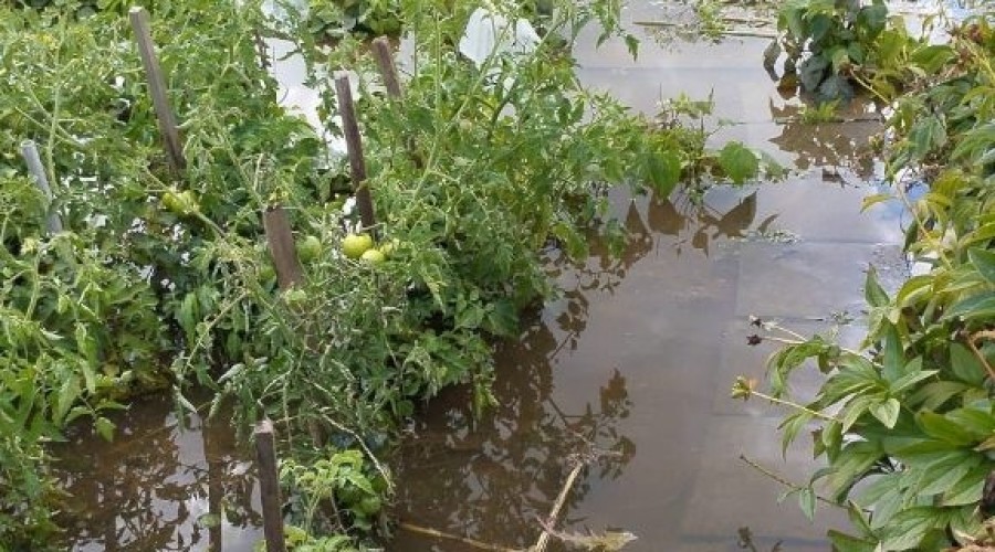 zuławy pod wodą (22)