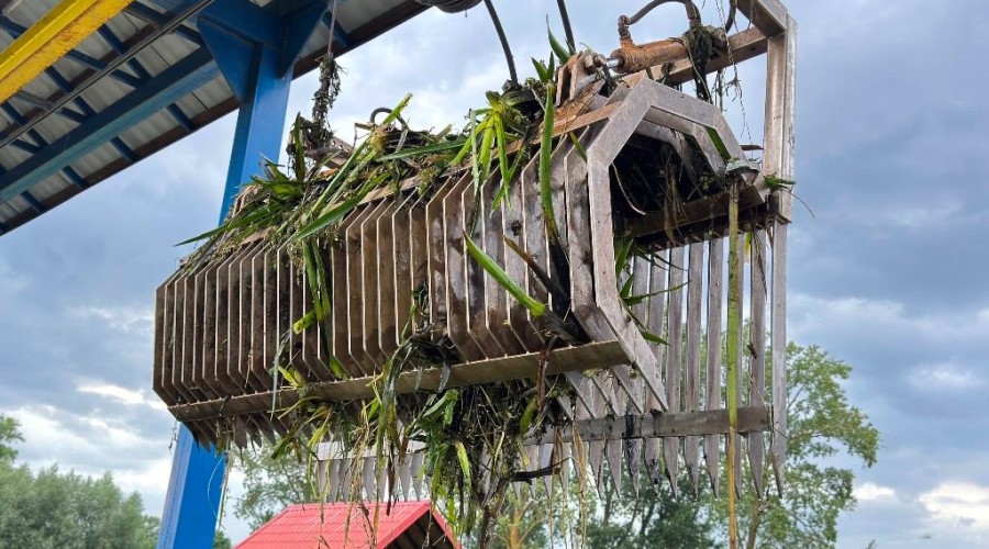 zuławy pod wodą (25)