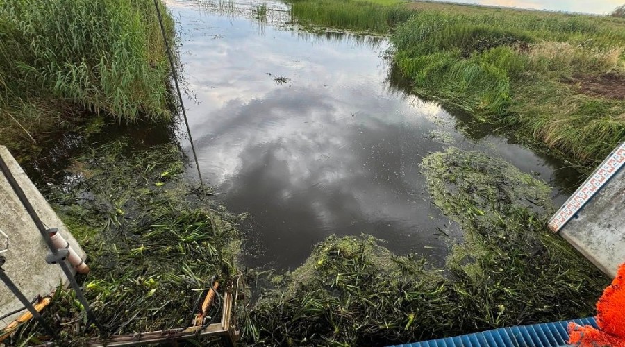 zuławy pod wodą (3)