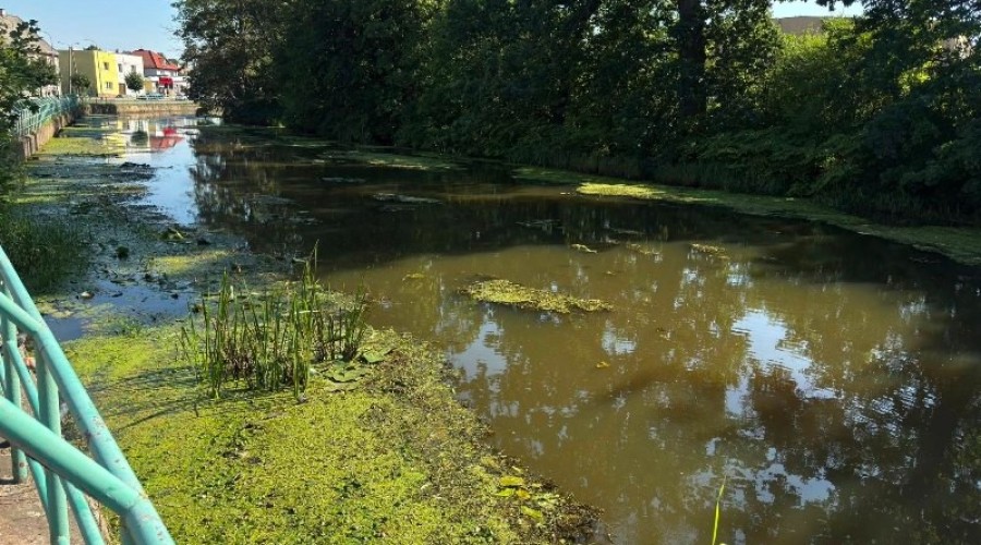 pontonem po tudze (1)