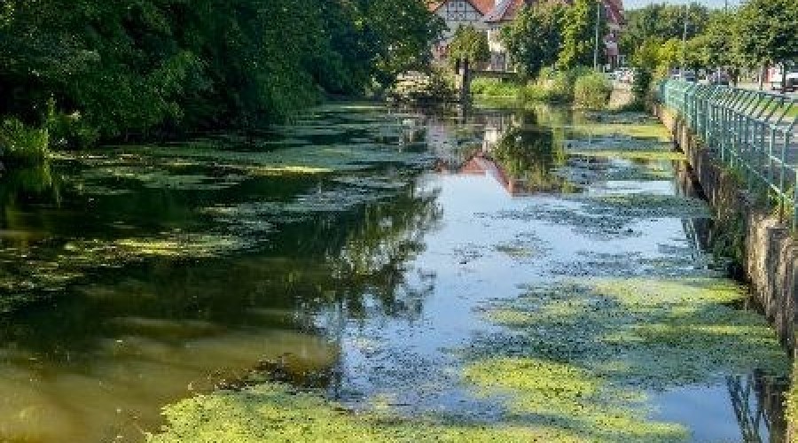 pontonem po tudze (2)