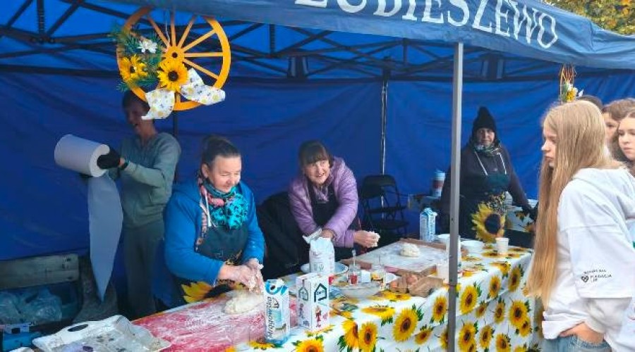 pola nadziei nowy dwor gd (14)