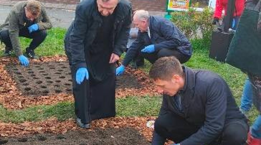 pola nadziei nowy dwor gd (18)