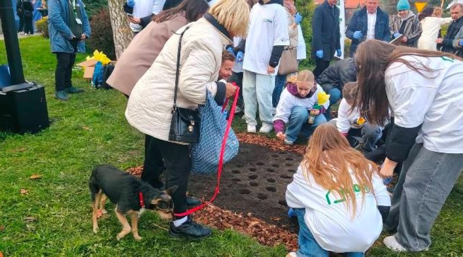 pola nadziei nowy dwor gd (19)