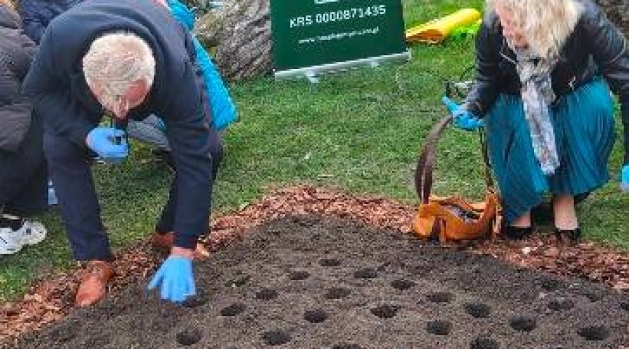 pola nadziei nowy dwor gd (21)