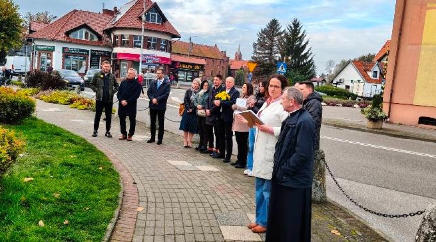 pola nadziei nowy dwor gd (24)