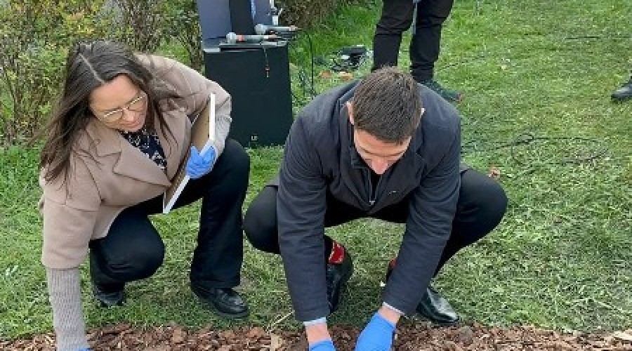 pola nadziei nowy dwor gd (5)