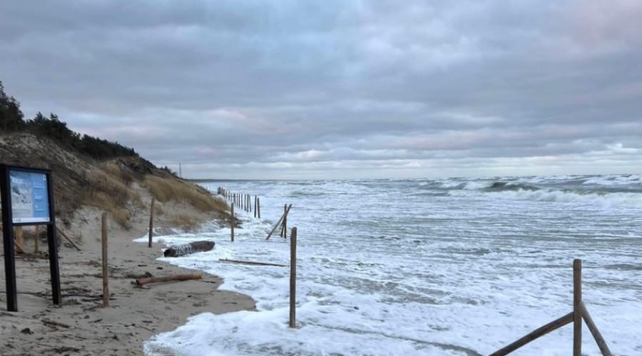 fot. andrzej bassendowski 