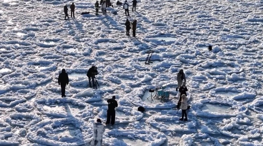 roxie wegiel mikoszewo (17)