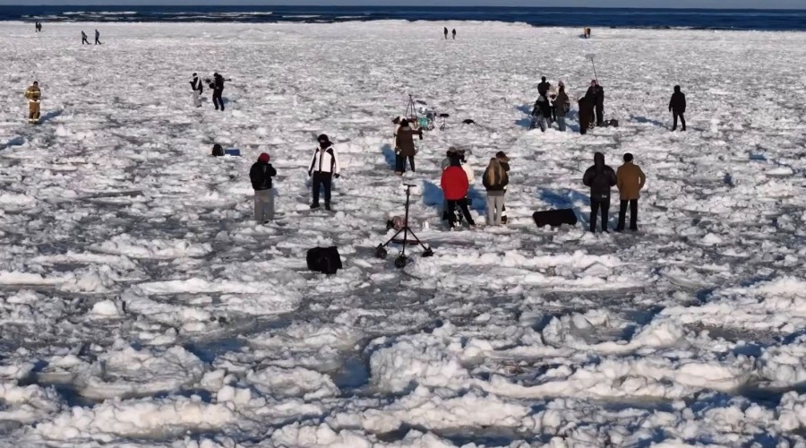 roxie wegiel mikoszewo (4)