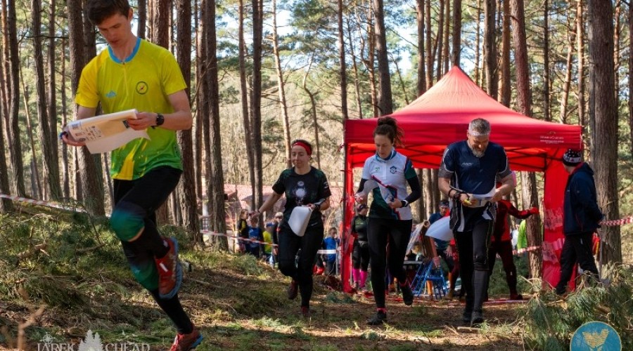 wyspa o cup sztutowo (13)