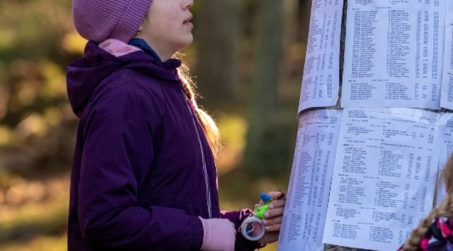 wyspa o cup sztutowo (20)