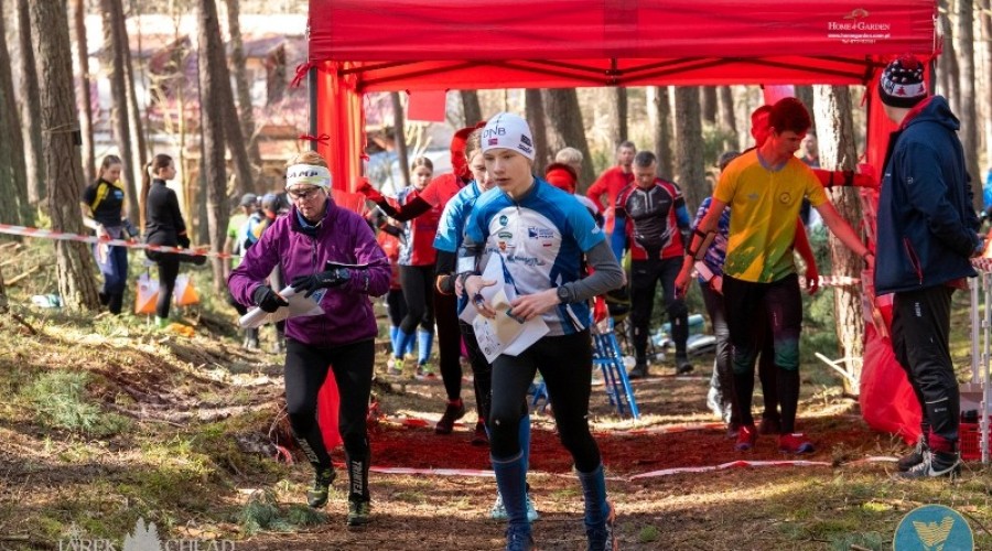 wyspa o cup sztutowo (7)