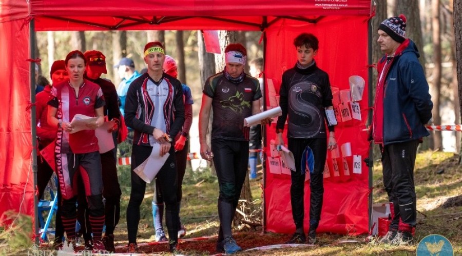 wyspa o cup sztutowo (9)