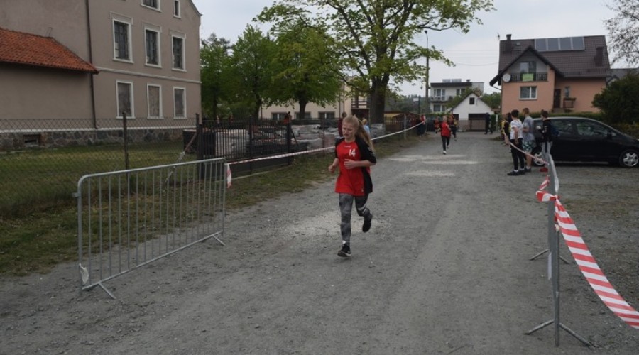 Sztutowo. XXIV Bieg Pamięci Narodowej - 10.05.201933