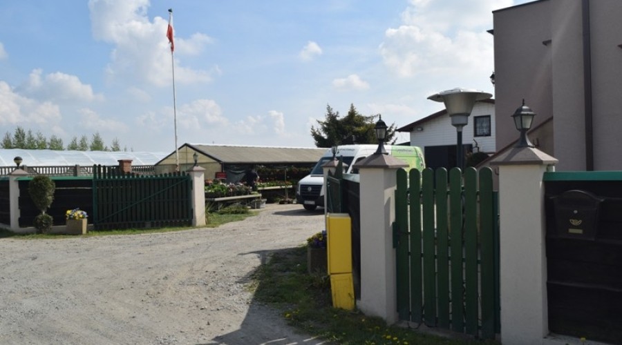 ogrodnictwo zagonowa nowy dwór gdański36