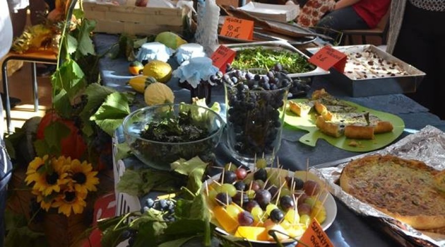 piknik-na-zdrowie-sztutowo-7