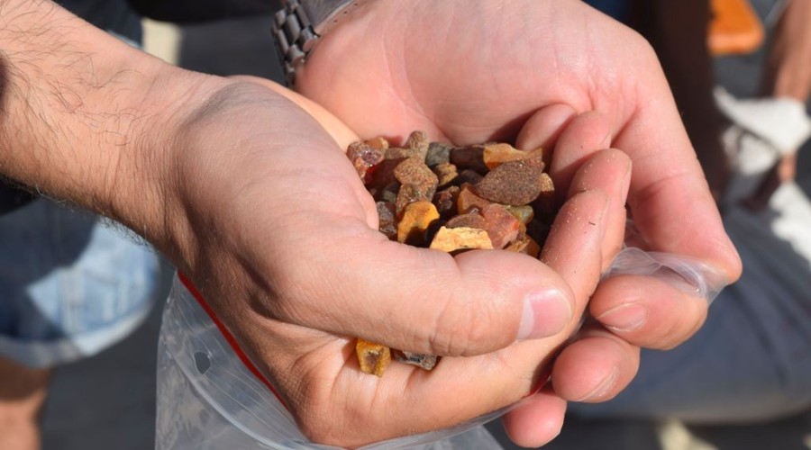 Jantar. XX Jubileuszowe Mistrzostwa świata w poławianiu bursztynu21