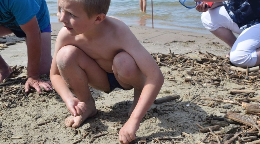 Mistrzostwa Świata w Poławianiu Bursztynu 2017 (67)