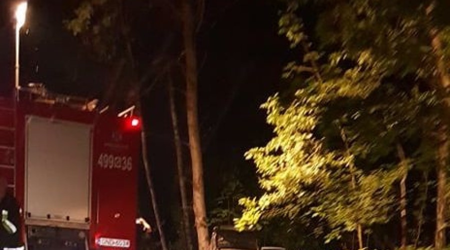 krynica morska uderzył w drzewo