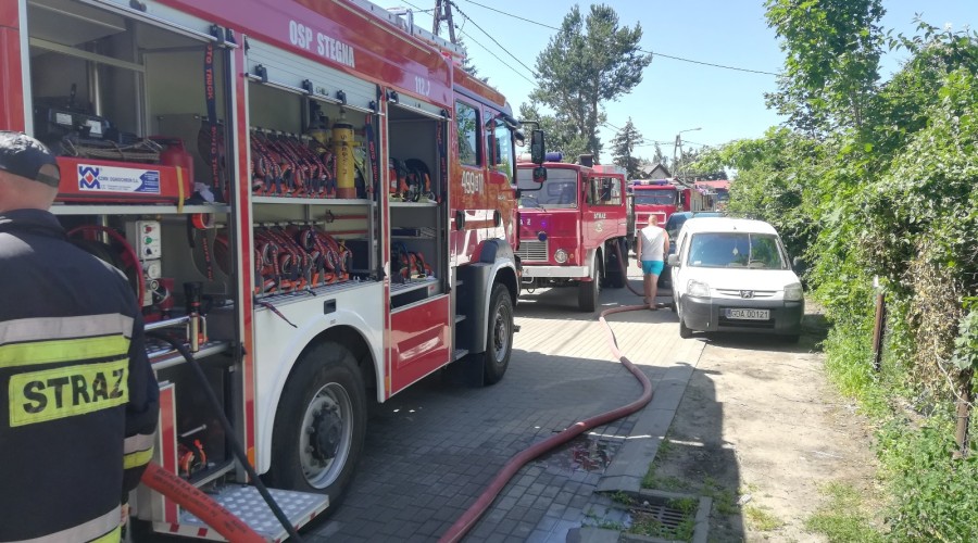 usuwanie gniazda szerszeni (2) osp sztutowo