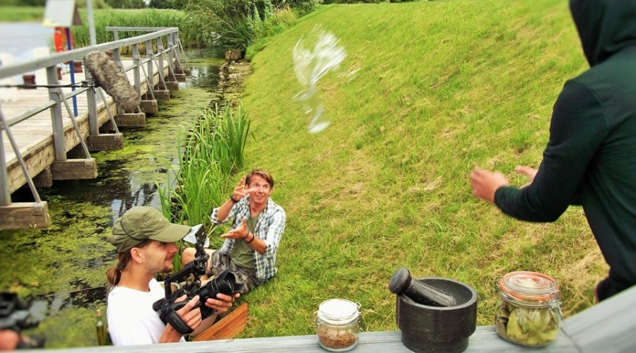 okrasa żuławy fot. jerzy złoty (4)