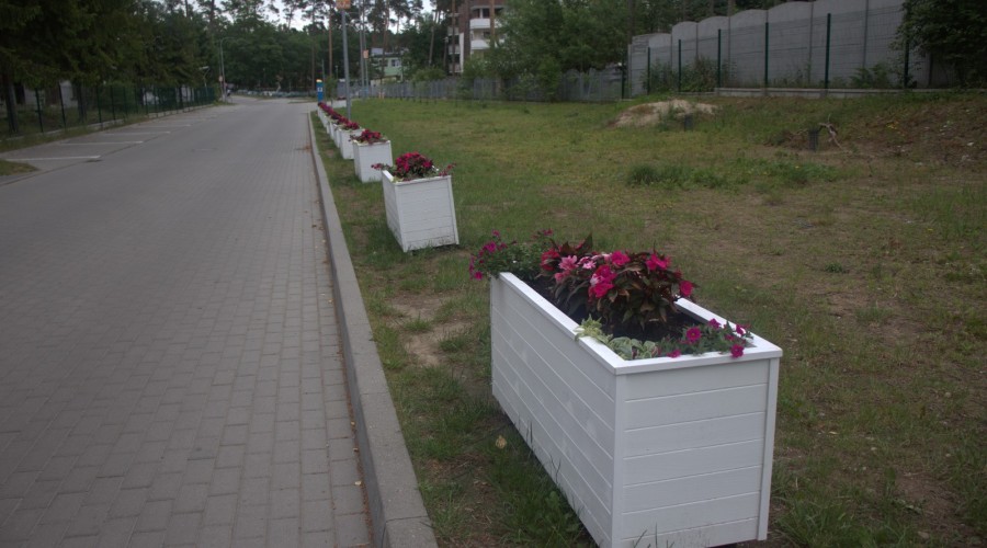 Stegna ul. lipowa (2)