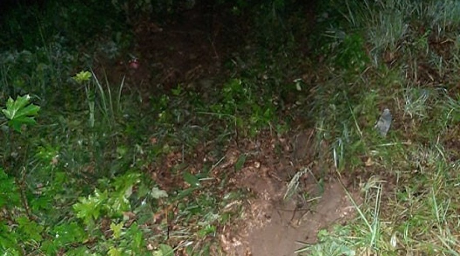 wypadek mikoszewo (7)